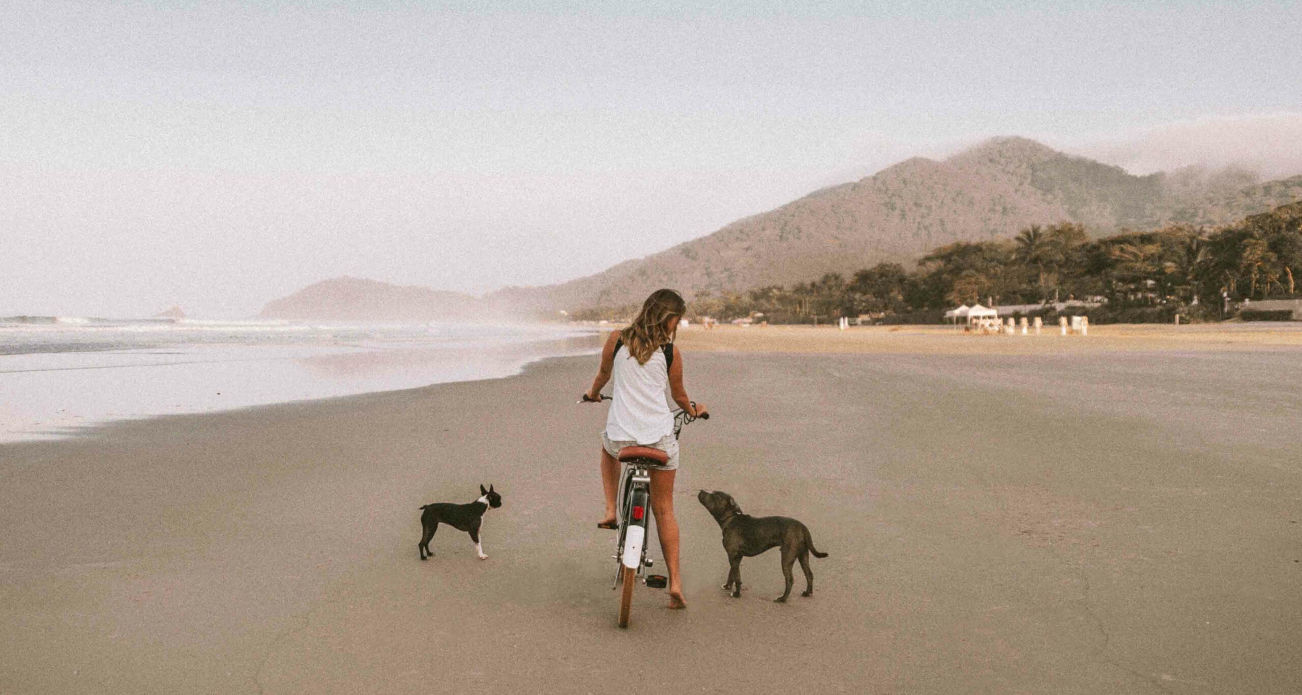 cachorros-praia-juquehy