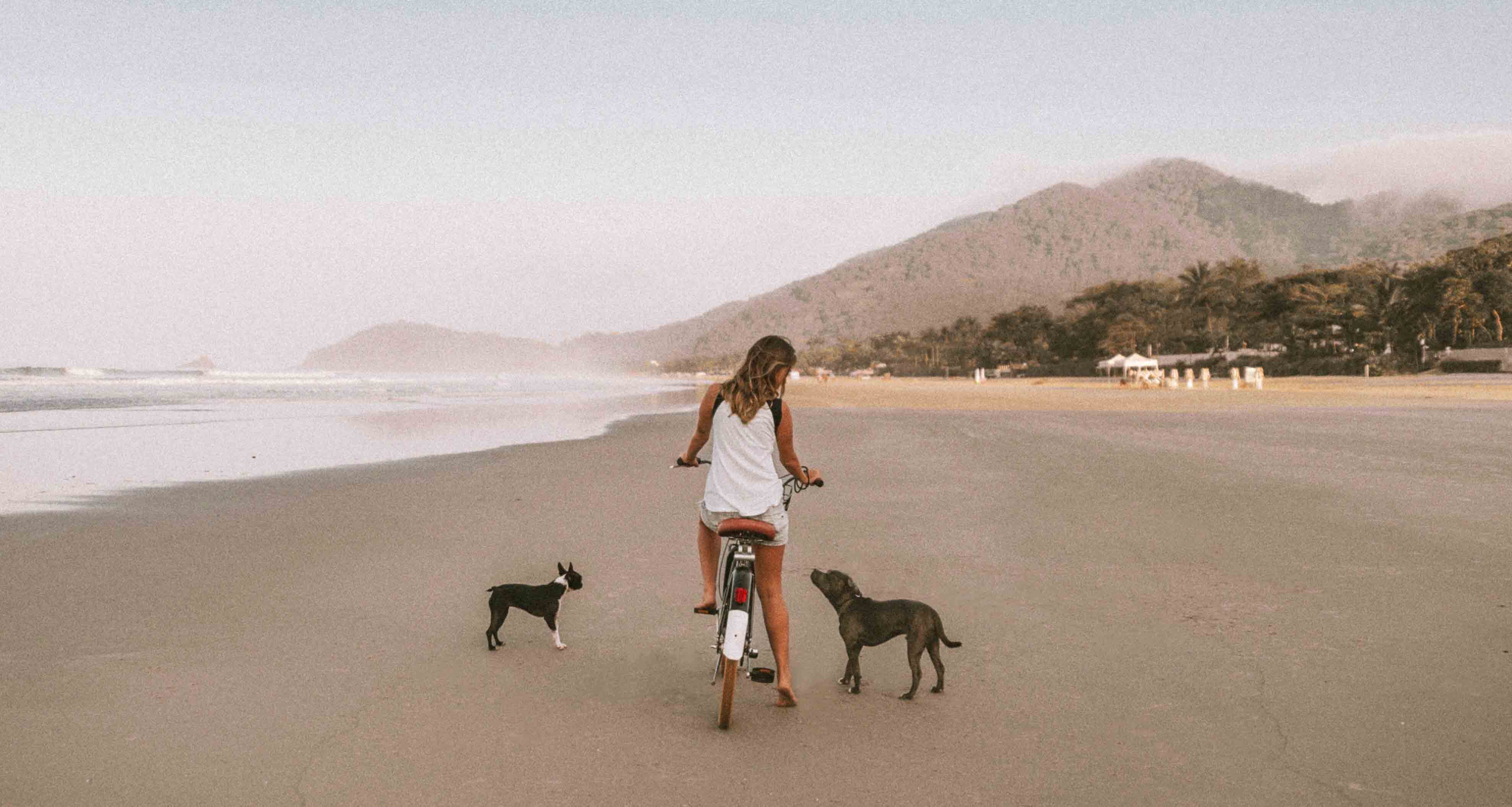 cachorros-praia-juquehy