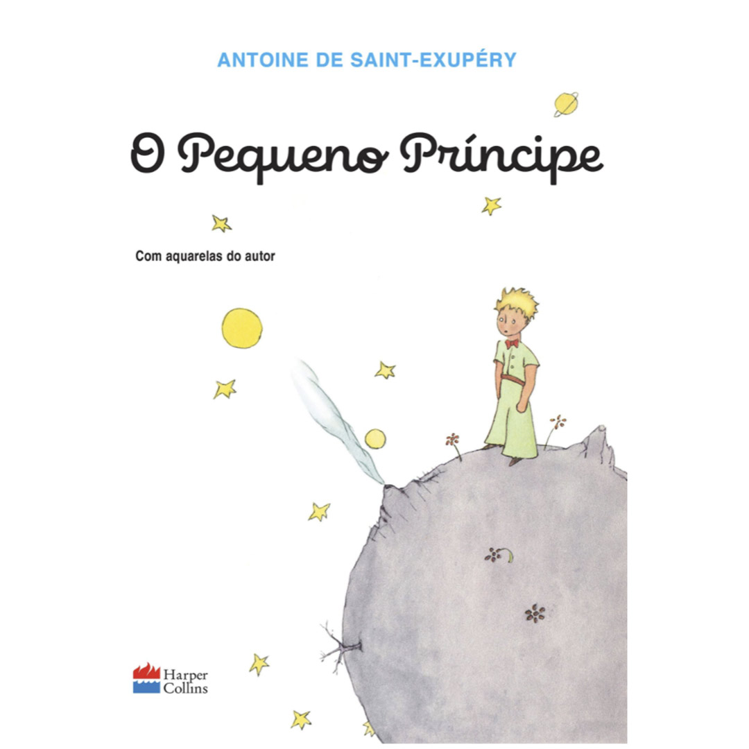 livro o pequeno principe