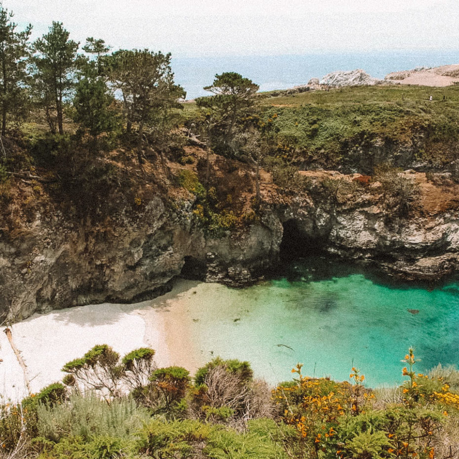 point-lobos-state-park