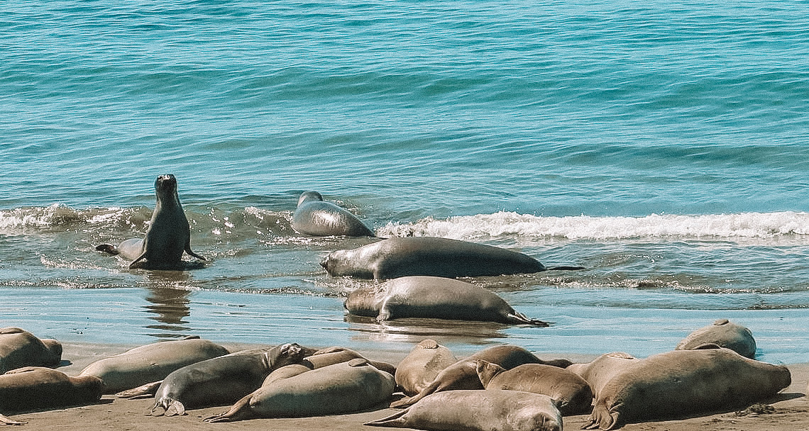 san-simeon