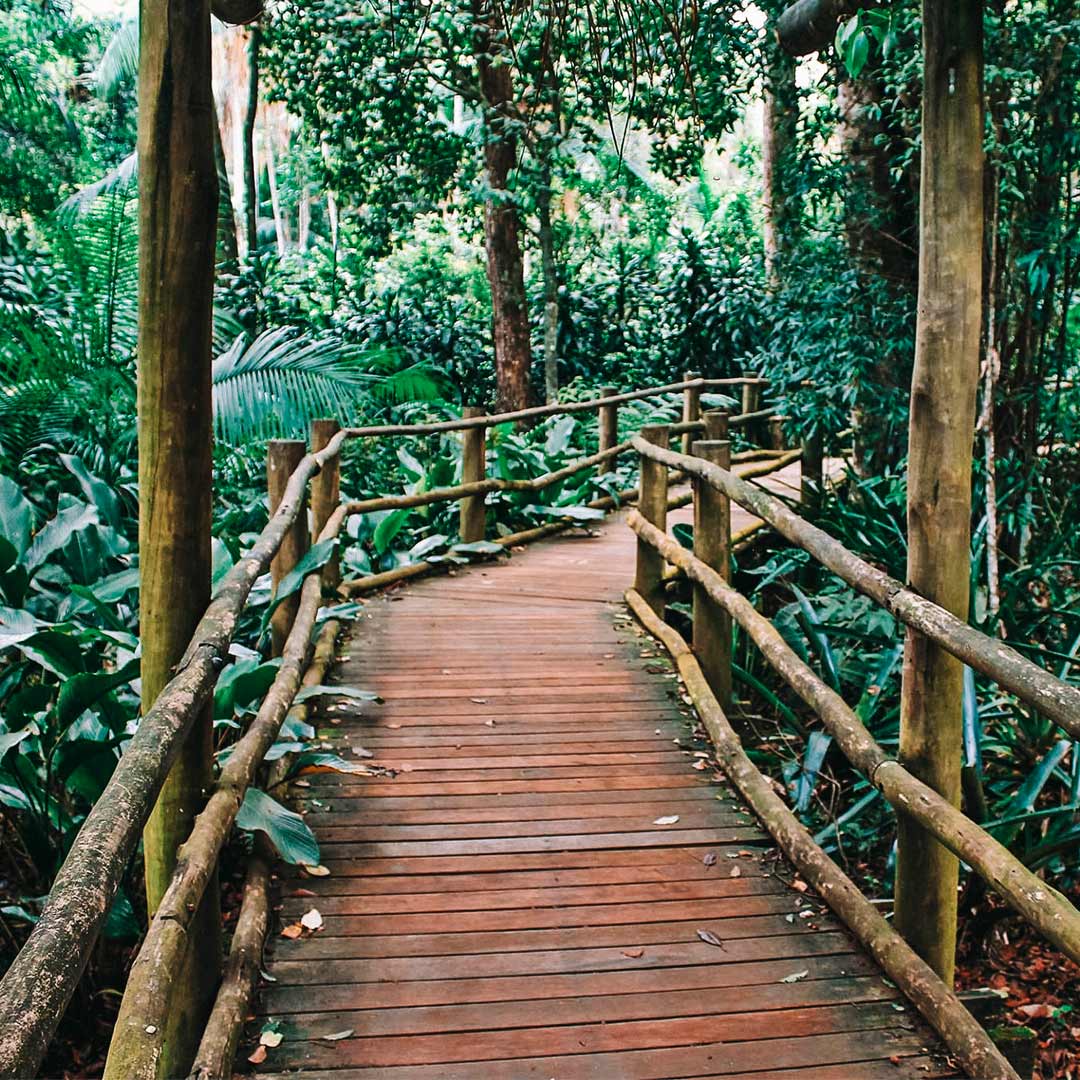 As melhores trilhas de Trekking em Rancho Alegre, São Paulo