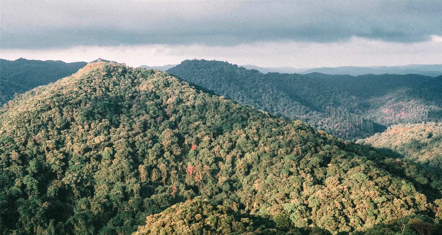 As melhores trilhas de Trekking em Rancho Alegre, São Paulo