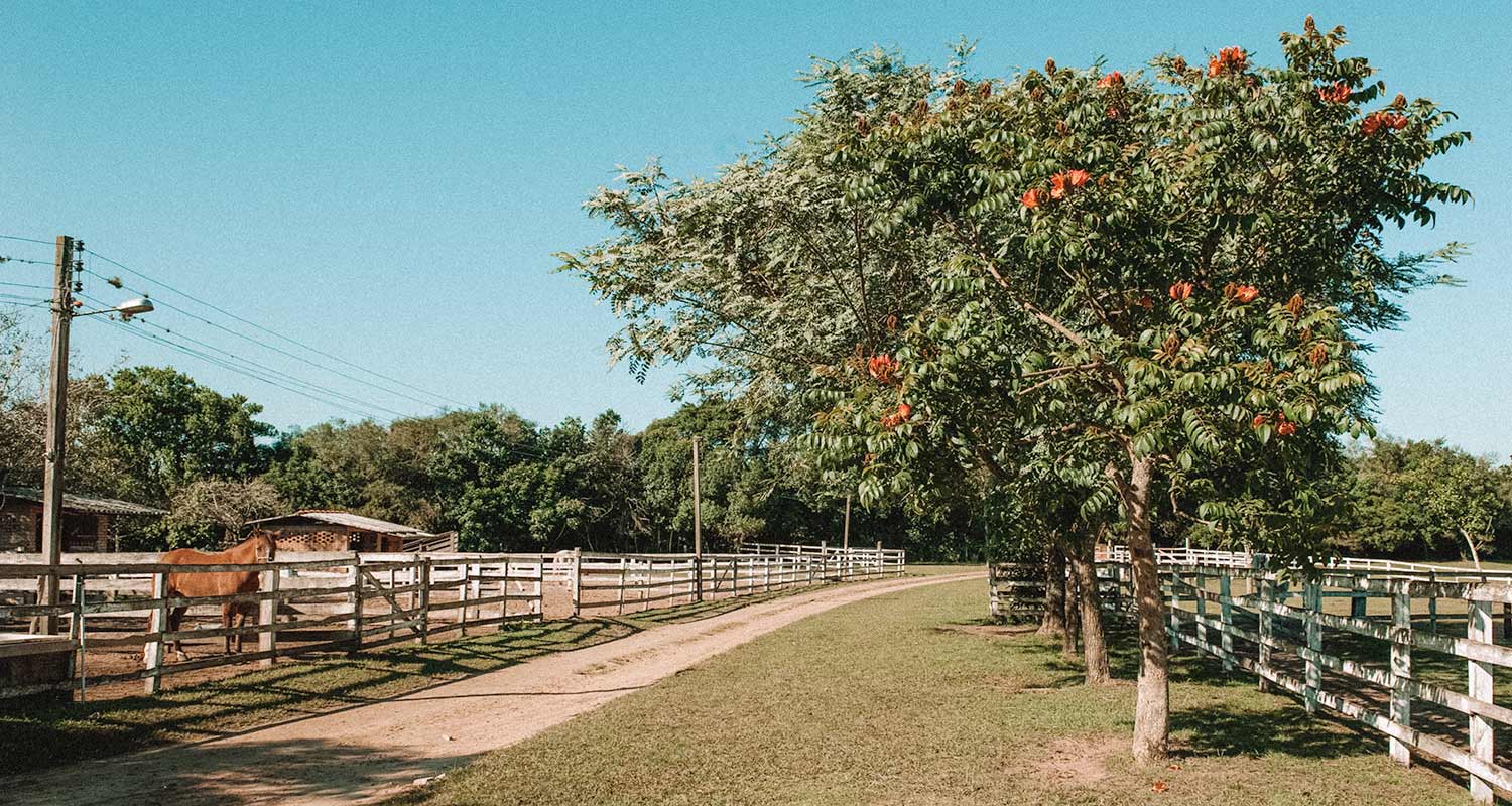 cabanha-costa-cerro-turismo-rural-no-brasil