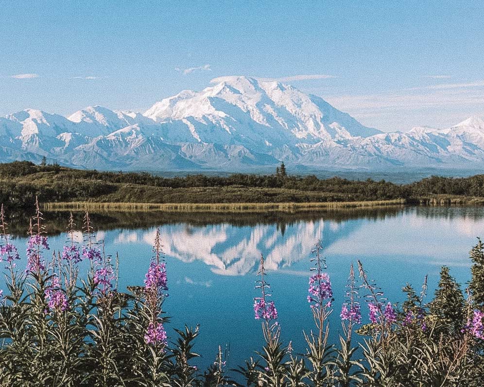 denali-national-park