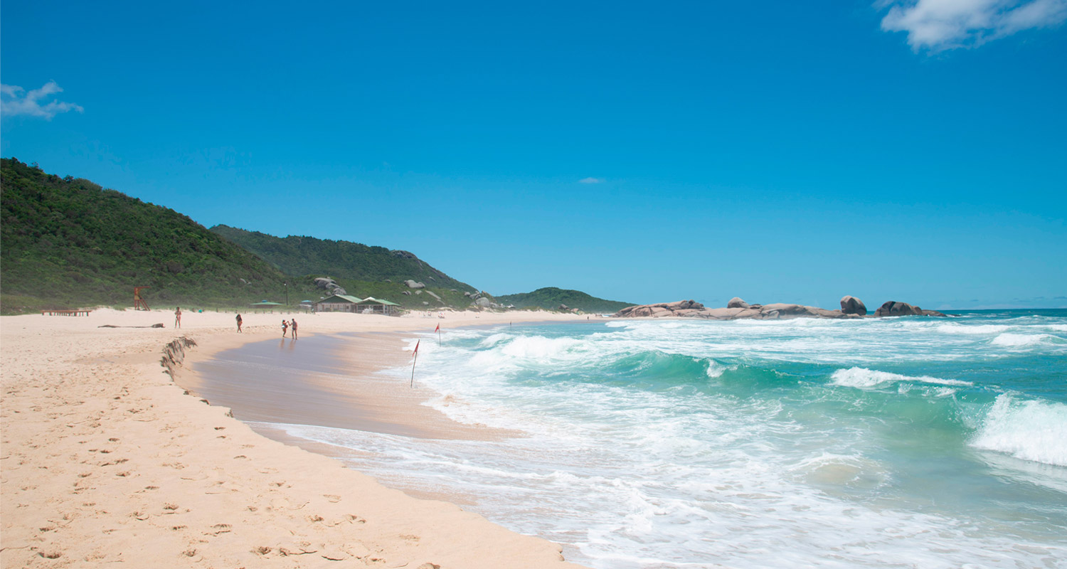 florianopolis-praia-mole