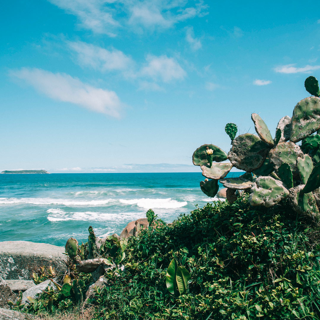 praia-gravata-floripa