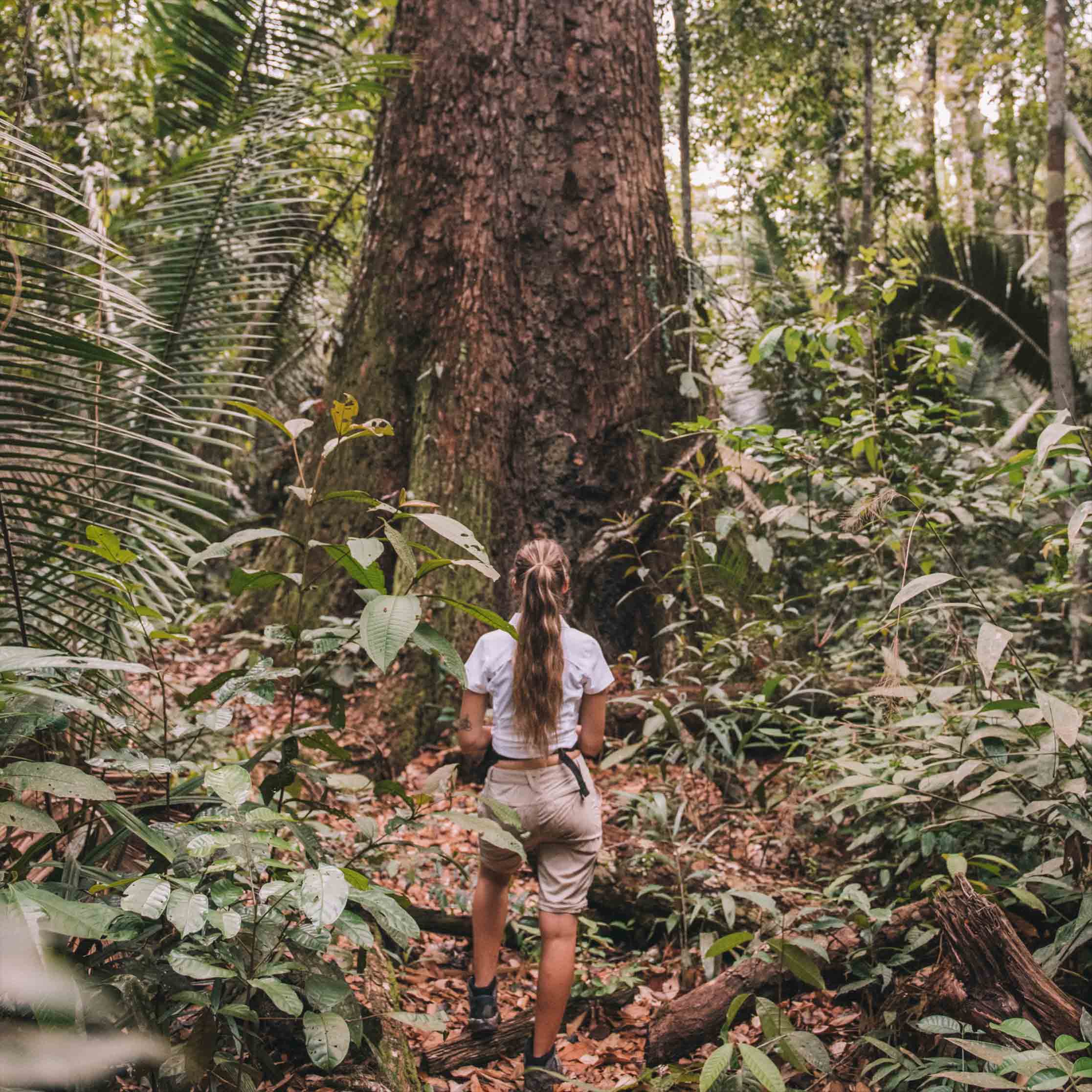 roupa-amazonia