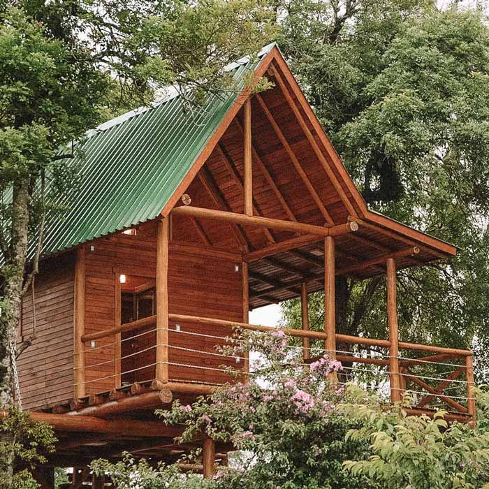 Casa na árvore em madeira clara, em meio à vegetação, em Santa Cruz do Sul, RS
