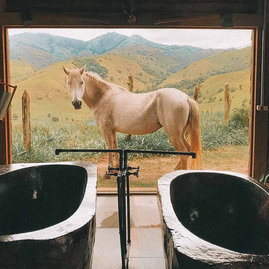 cavalo em acomodação em minas gerias