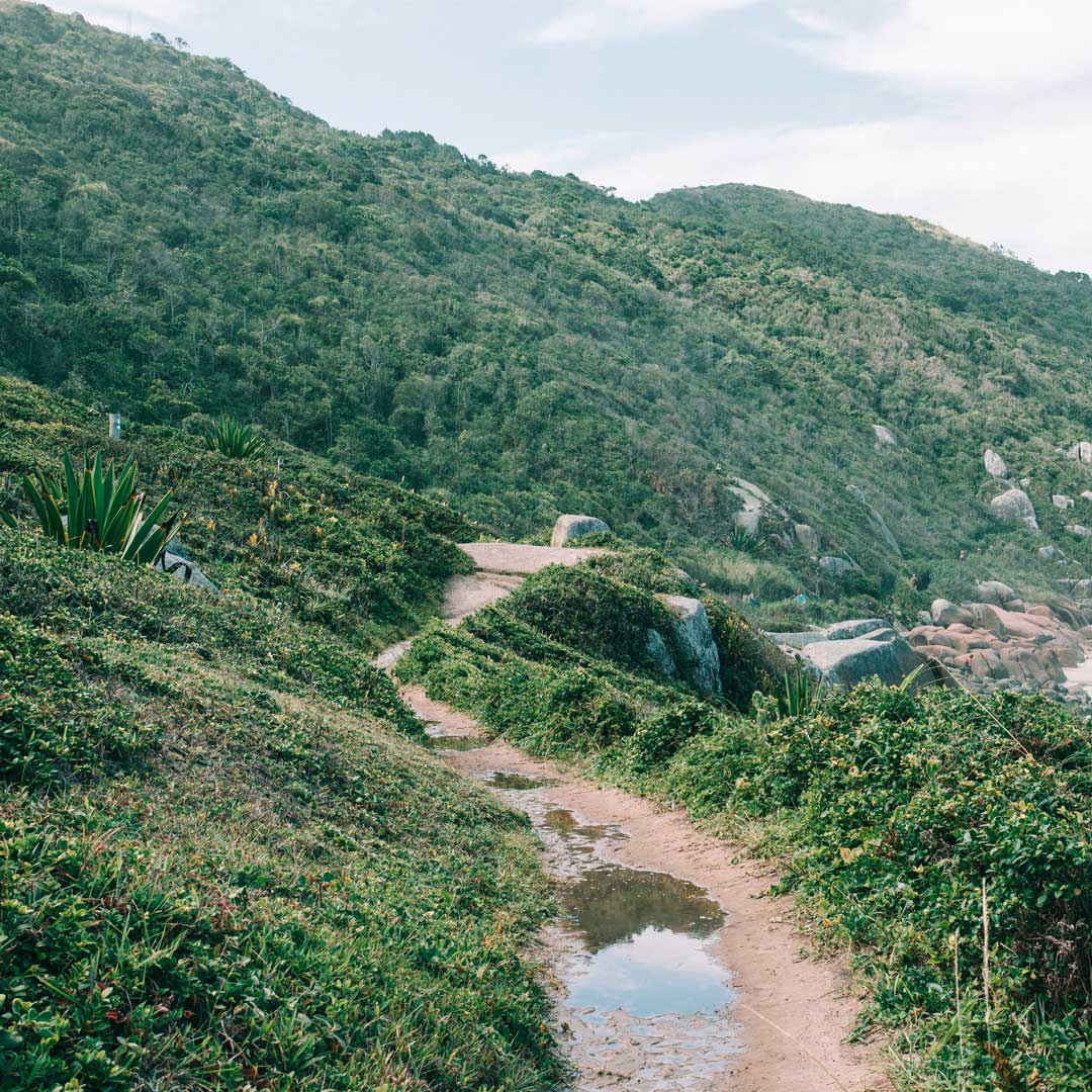 trilha-galheta-floripa