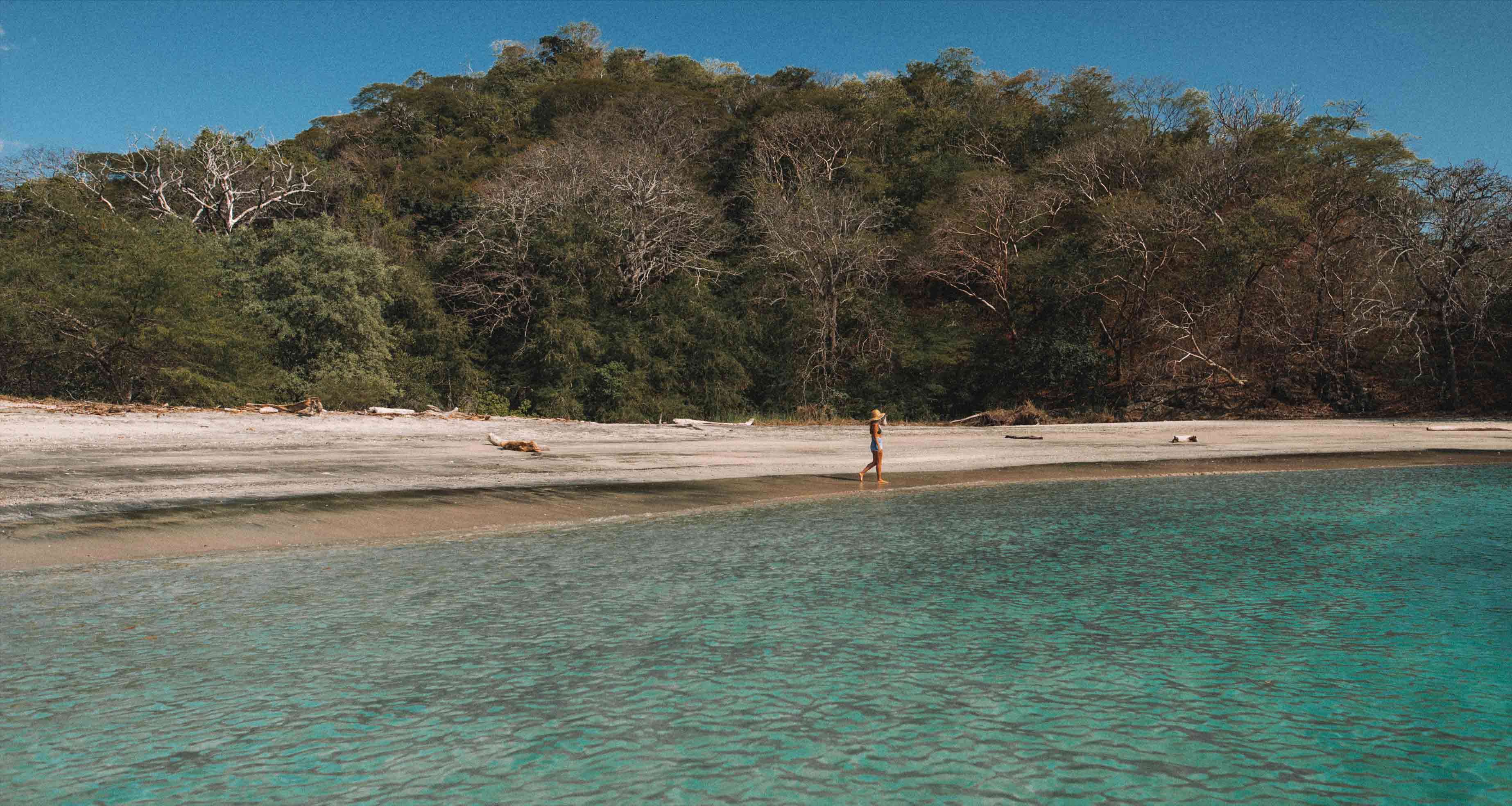 papagayo-costa-rica