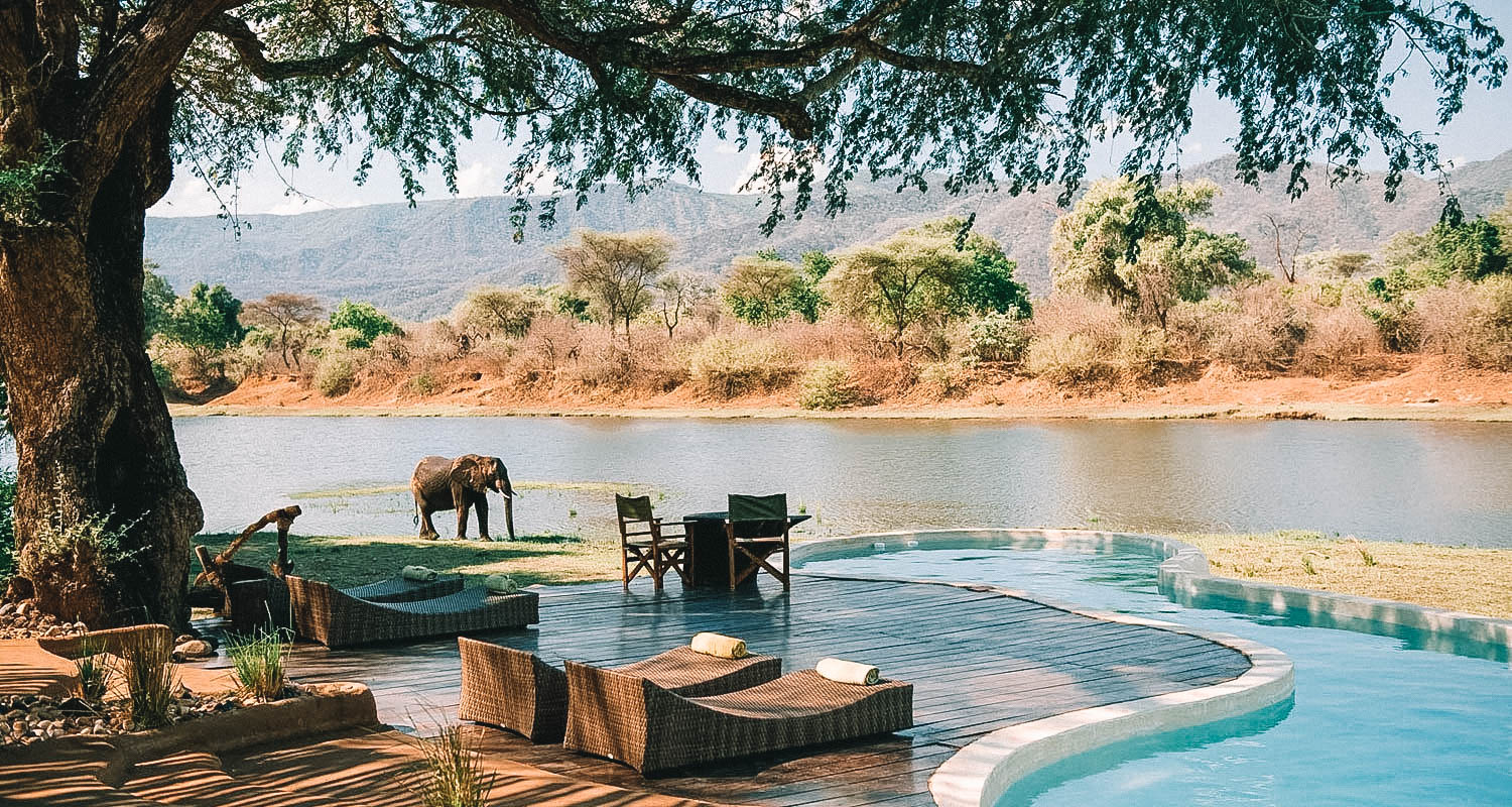 Deck da piscina com vista para o lago Chongwe, de onde os elefantes estão bebendo água