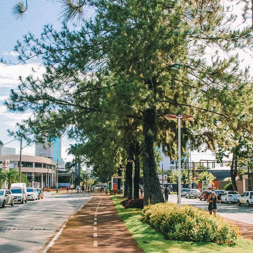 Alameda Ricardo Paranhos, com árvores e pista de corrida, em Goiânia, Goiás