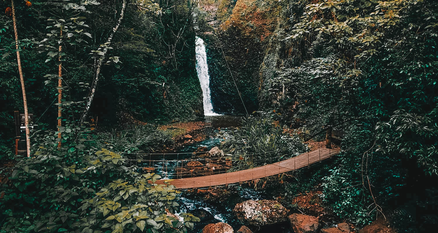 Pequena cascata ao fundo em meio à mata e uma ponte em madeira em primeiro plano