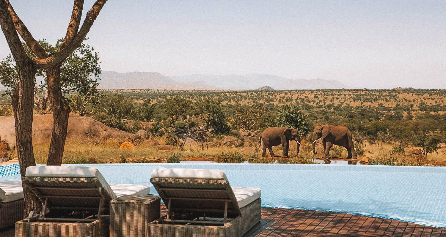 Elefantes bebendo água do lago em frente à piscina do Four Seasons