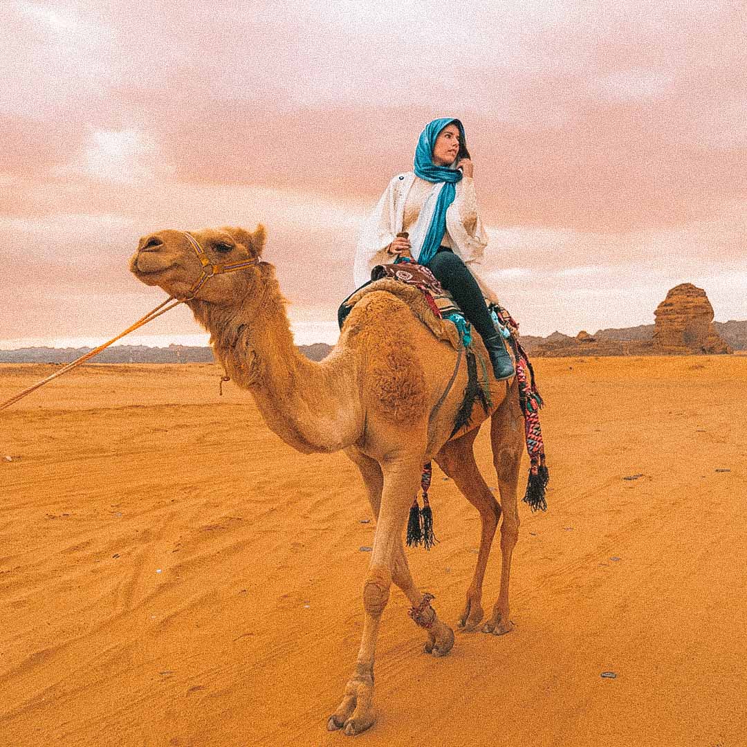 camelo no deserto da arabia