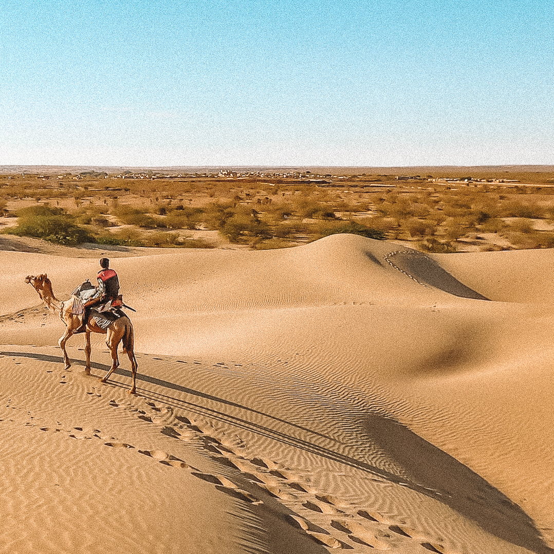 deserto do thar, india