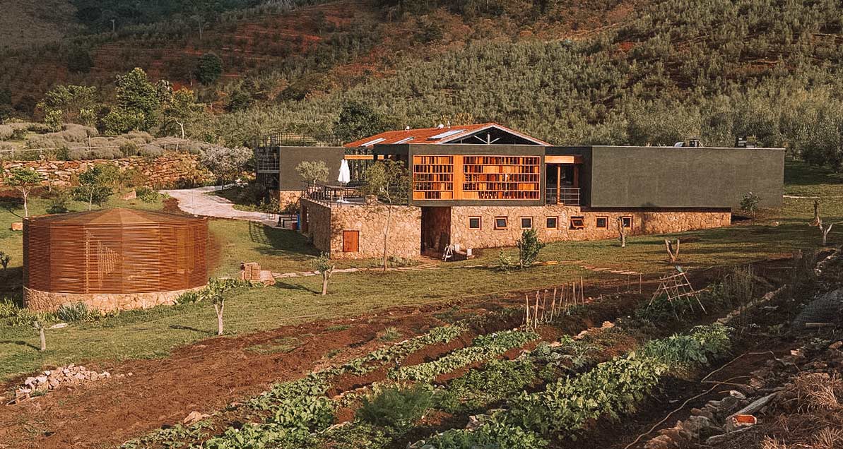 plantação de azeite e olivais oliq na serra da mantiqueira