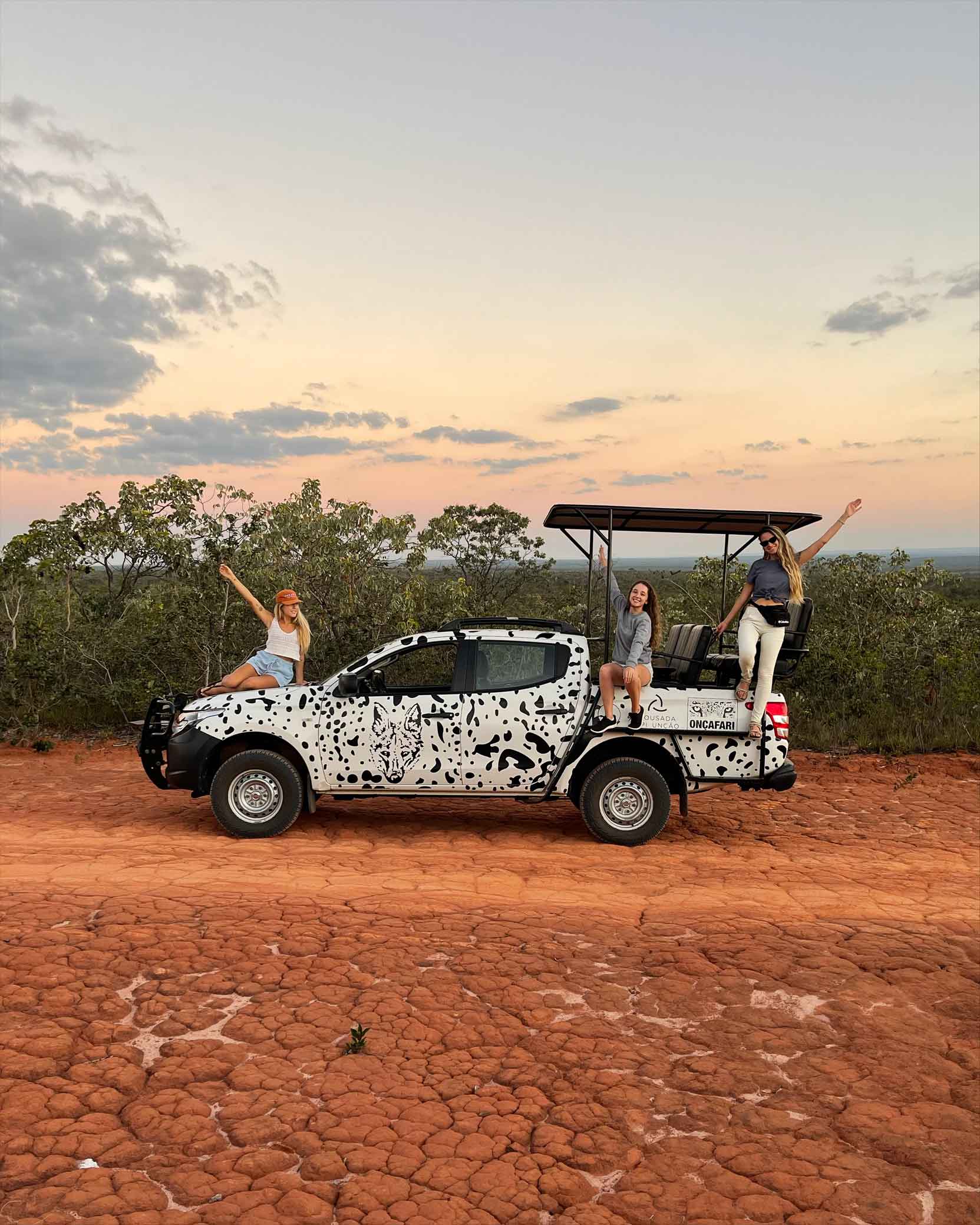 carro onçafari cerrado