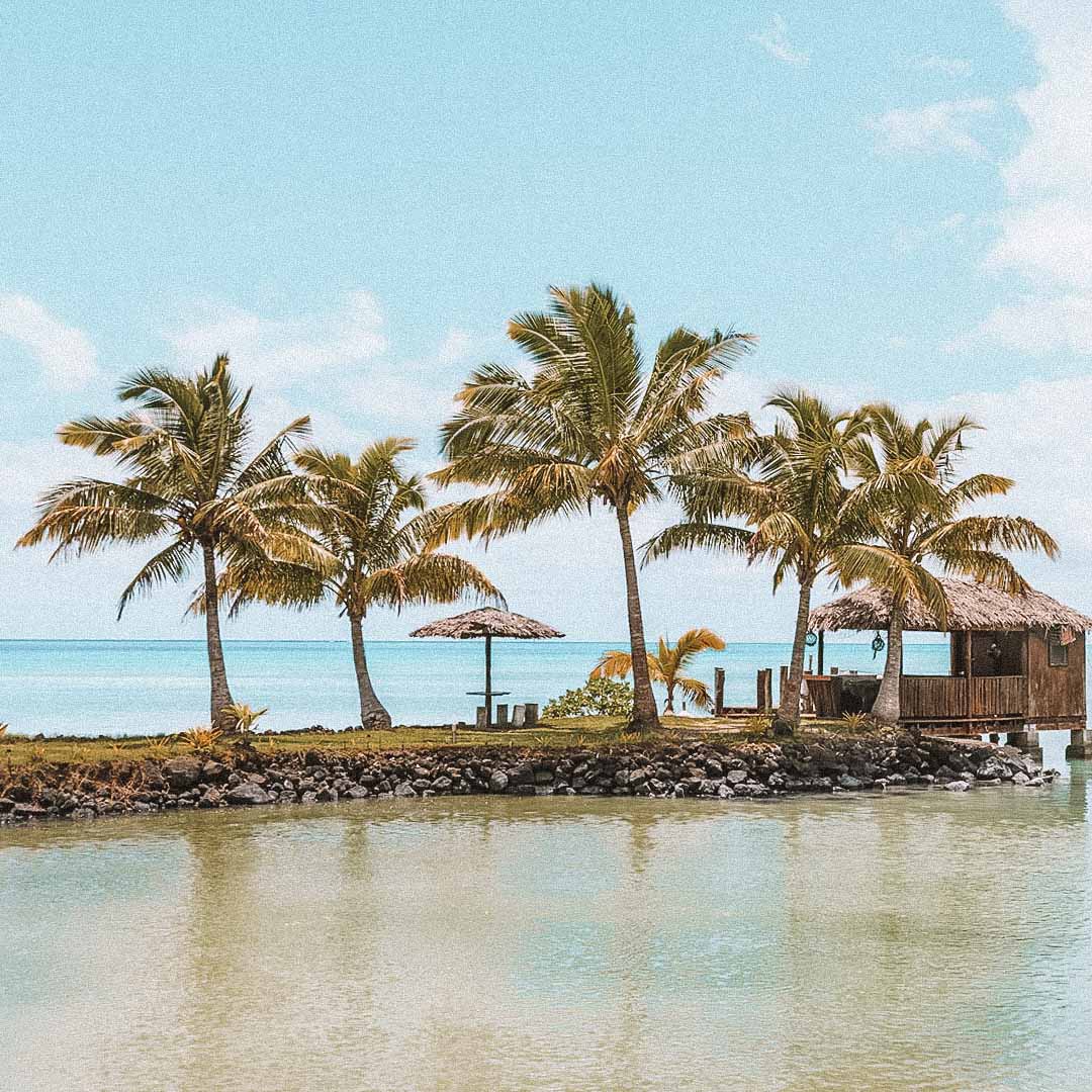 palmeiras na praia em Apia em Samoa, oceania 