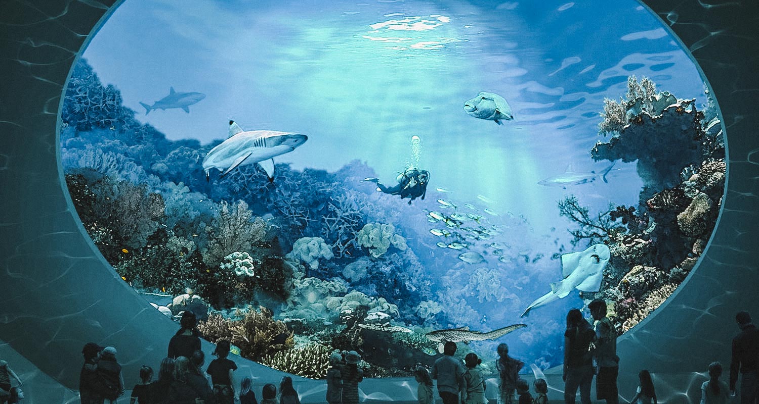 animais e pessoas no aquário de seattle
