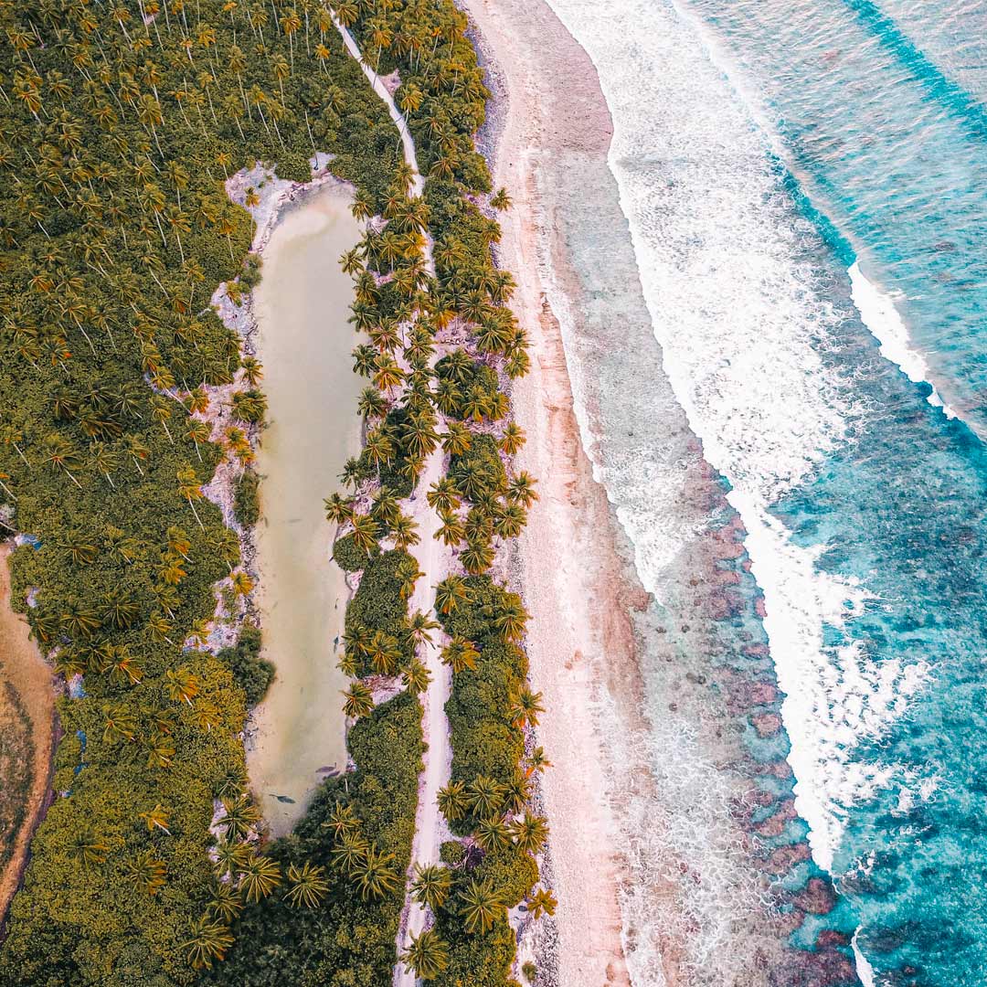 imagem aérea entre o mar e o mangue