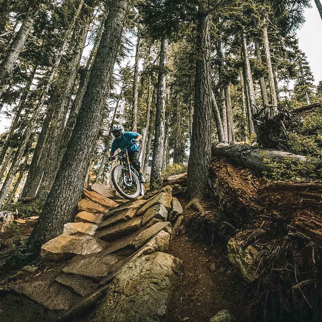 mountain bike park em whistler 