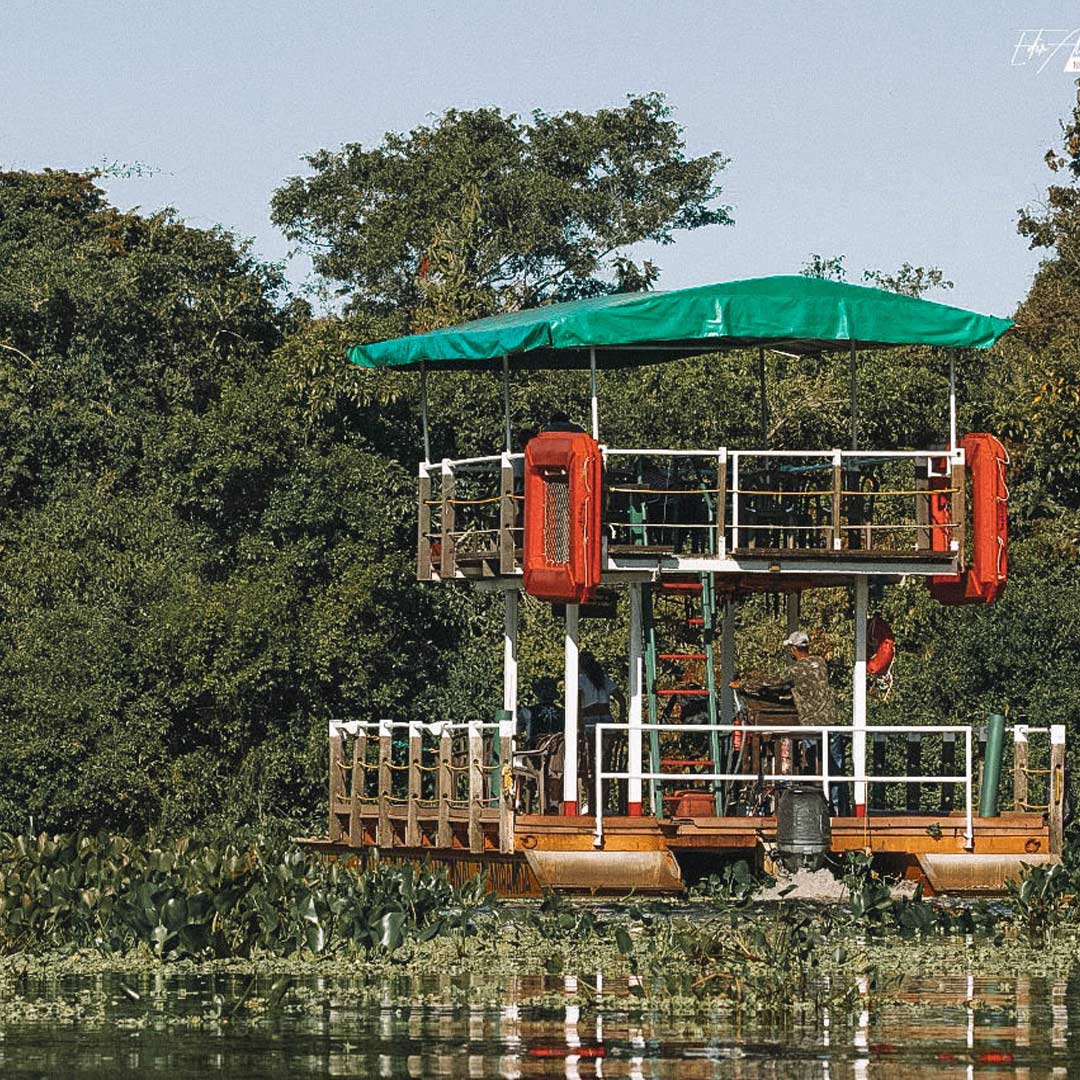 Passeio de barco na Fazenda São Francisco, no Pantanal Mato Grosso do Sul