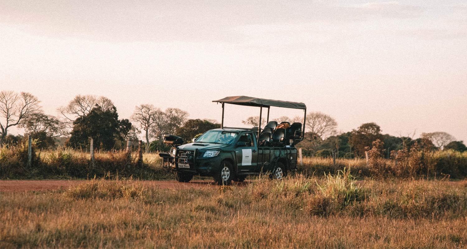 carro aberto de safári no Pantanal