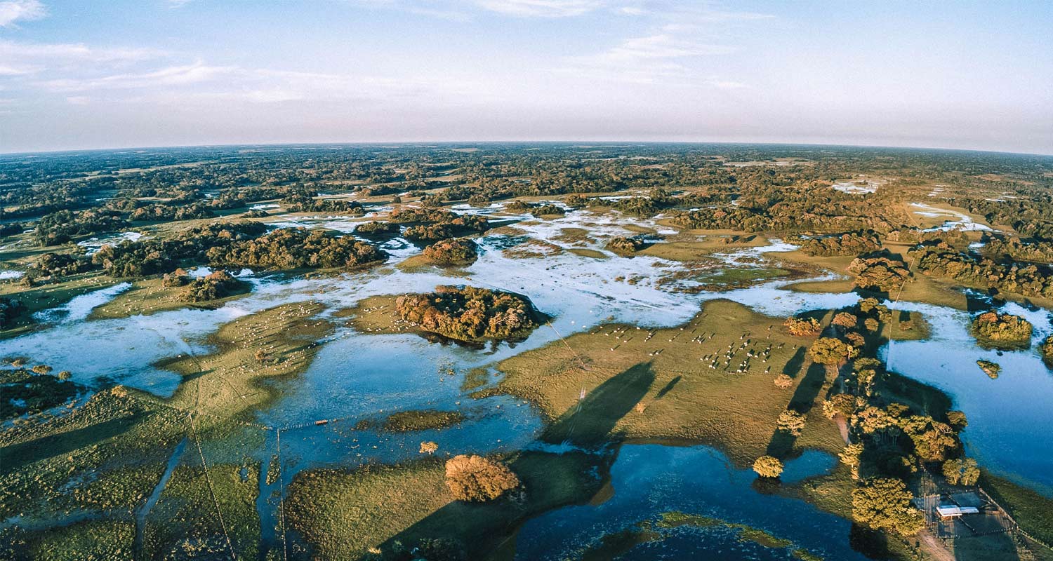 Imagem aérea das planícies alagadas no Pantanal
