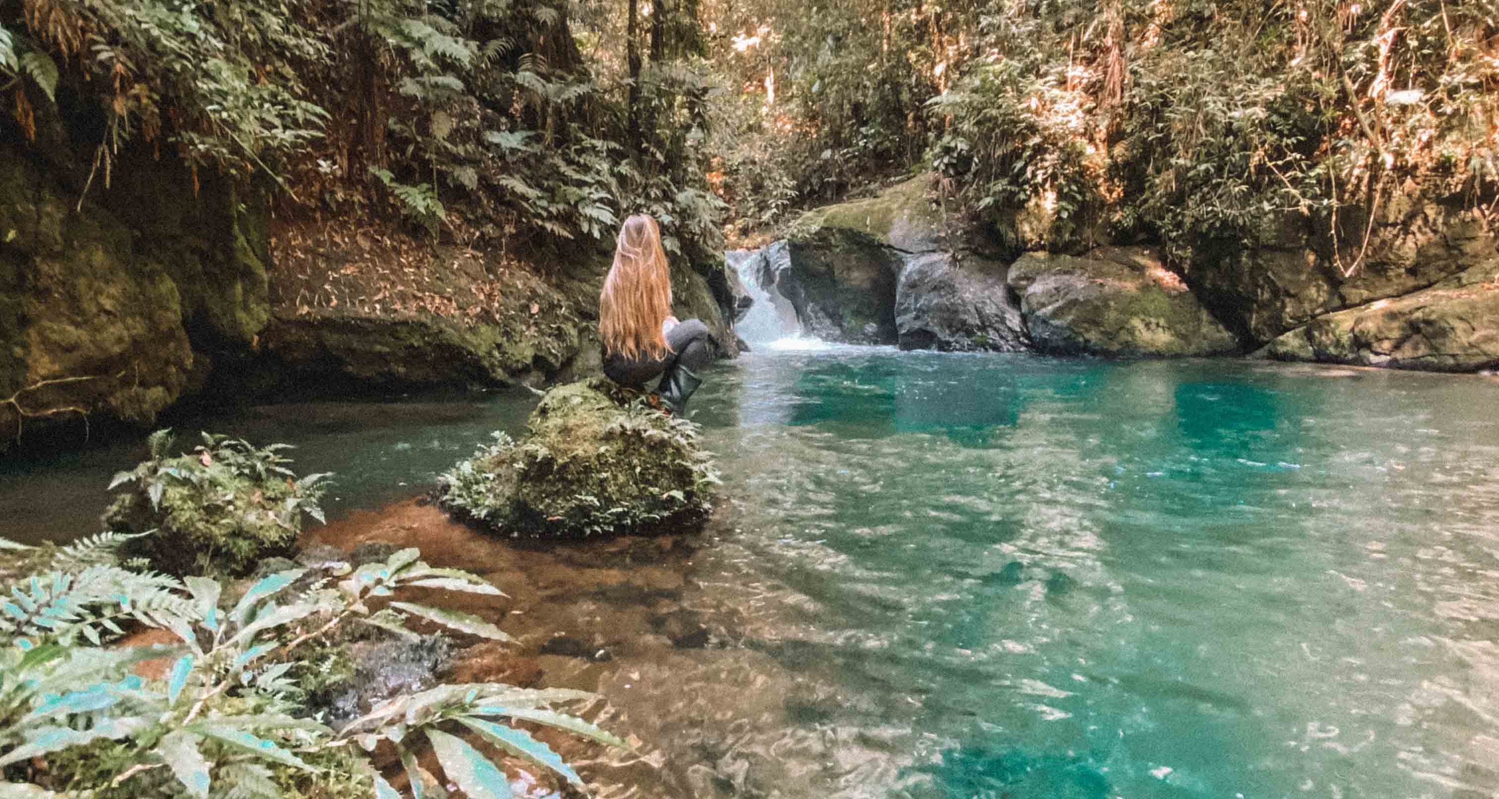 cachoeira e rio na mata atlântica