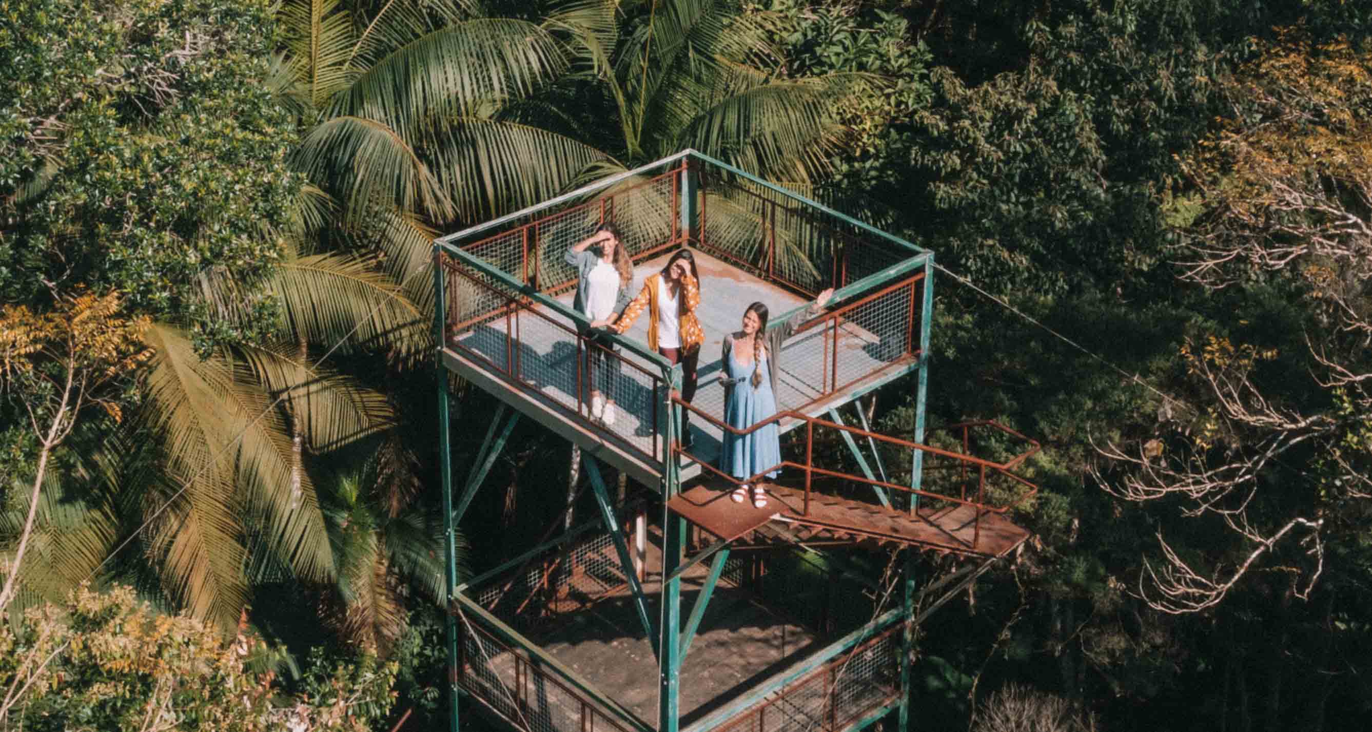 torre de observação na mata atlântica