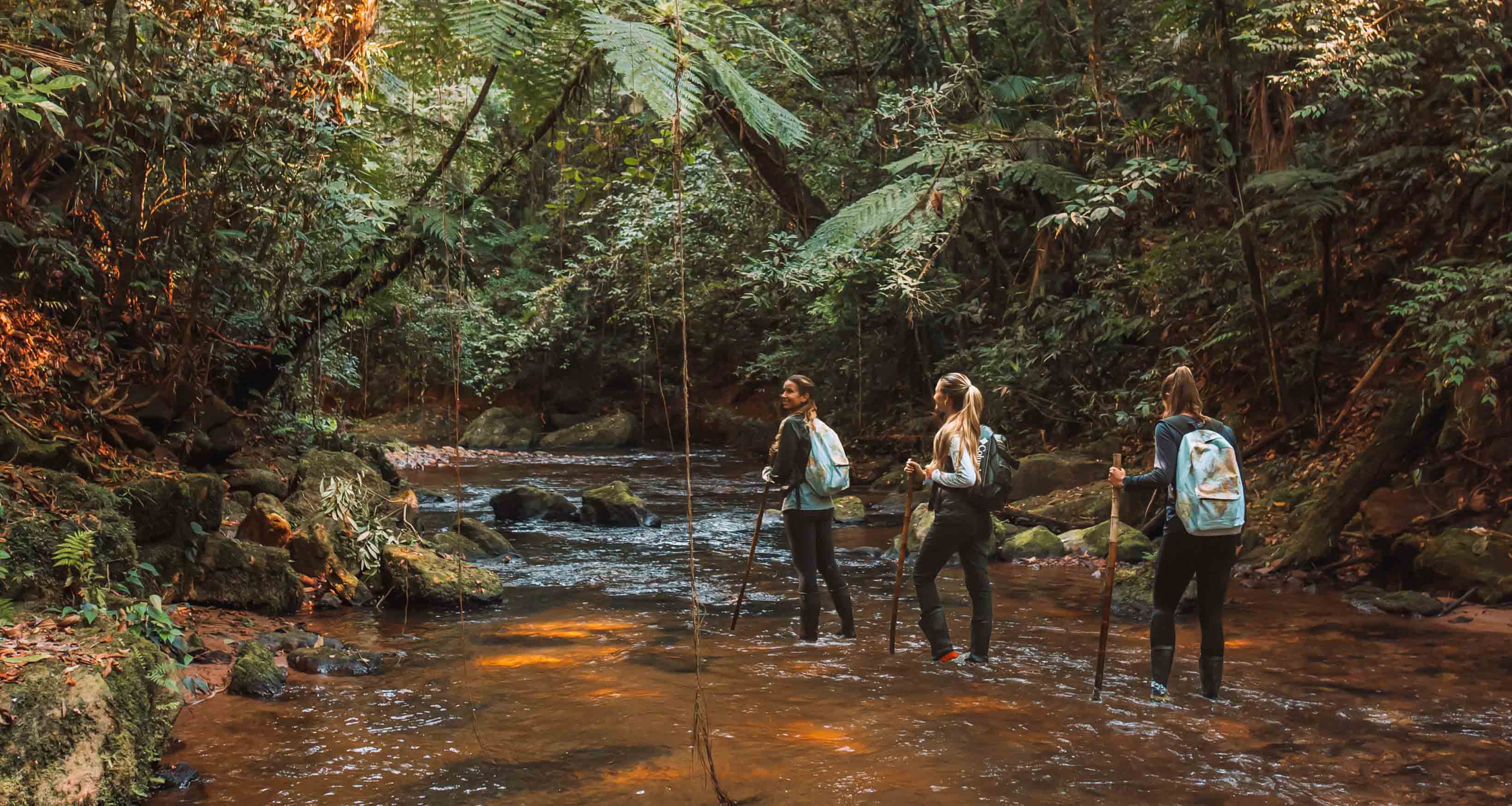 meninas percorrendo trilha de rio e floresta na mata atlântica