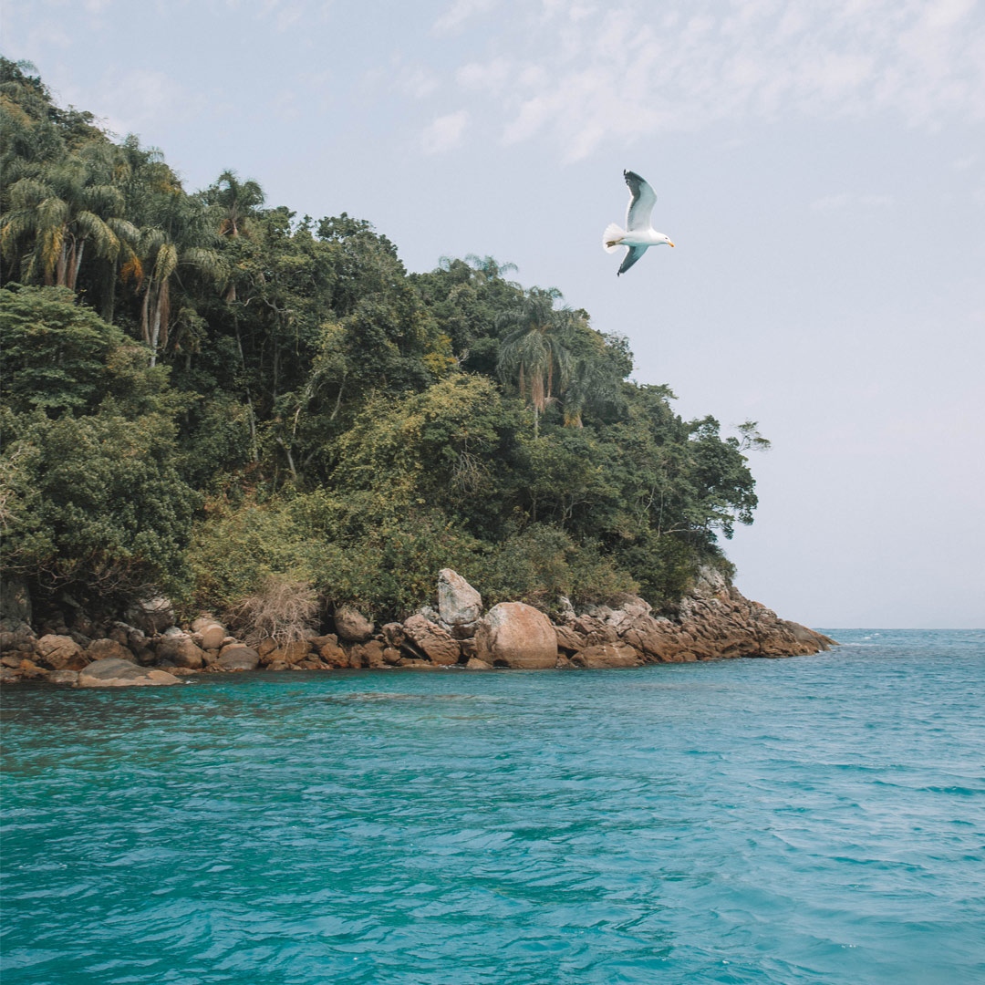 Parte da ilha das couves, em ubatuba