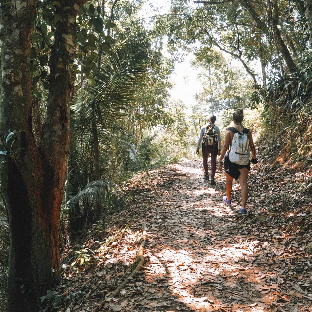 Trecho da trilha das 7 praias em Ubatuba