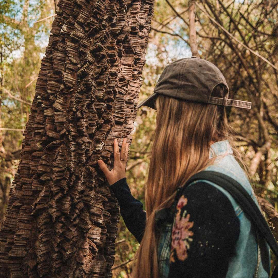 Mulher tocando em árvore