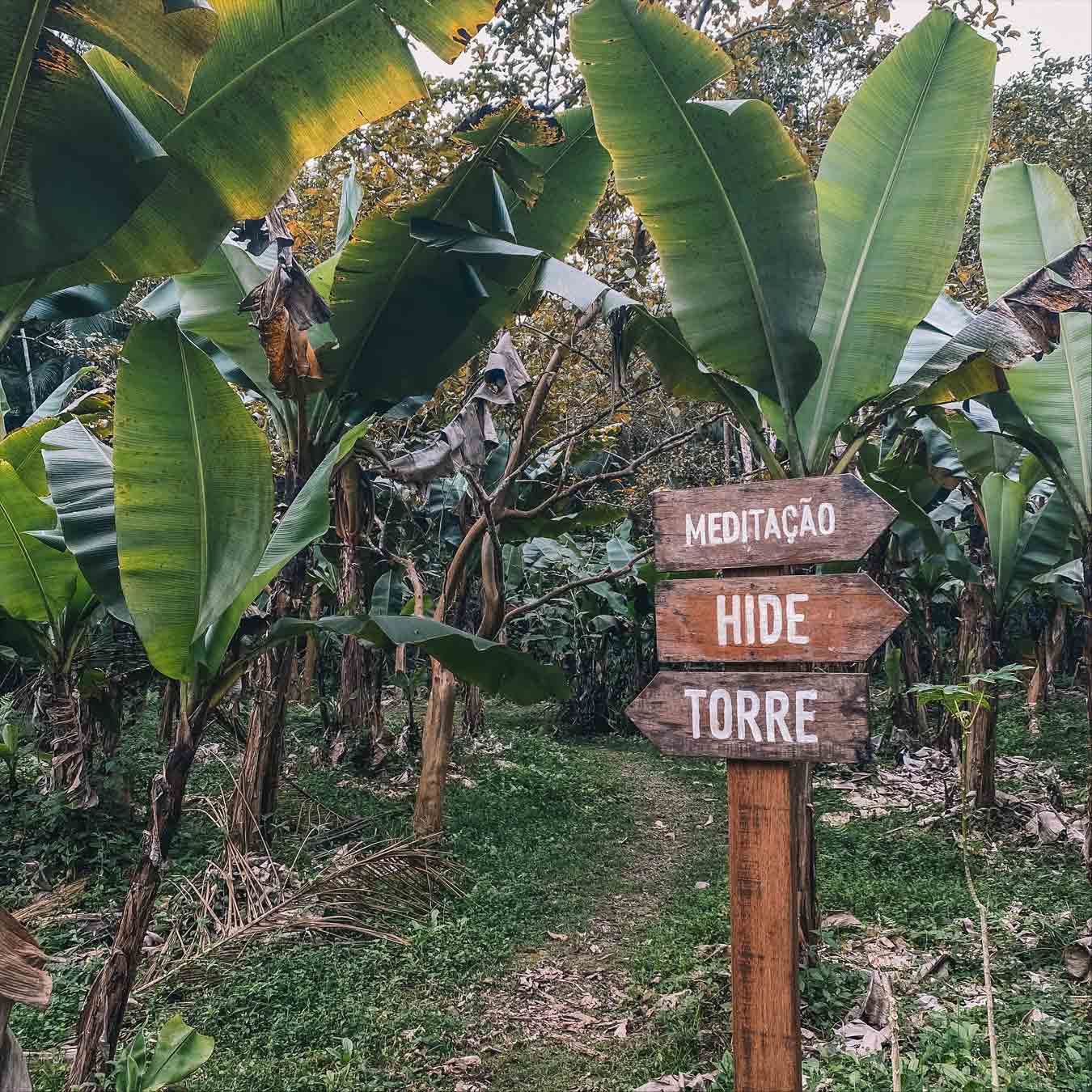 ecolodge de selva salve floresta