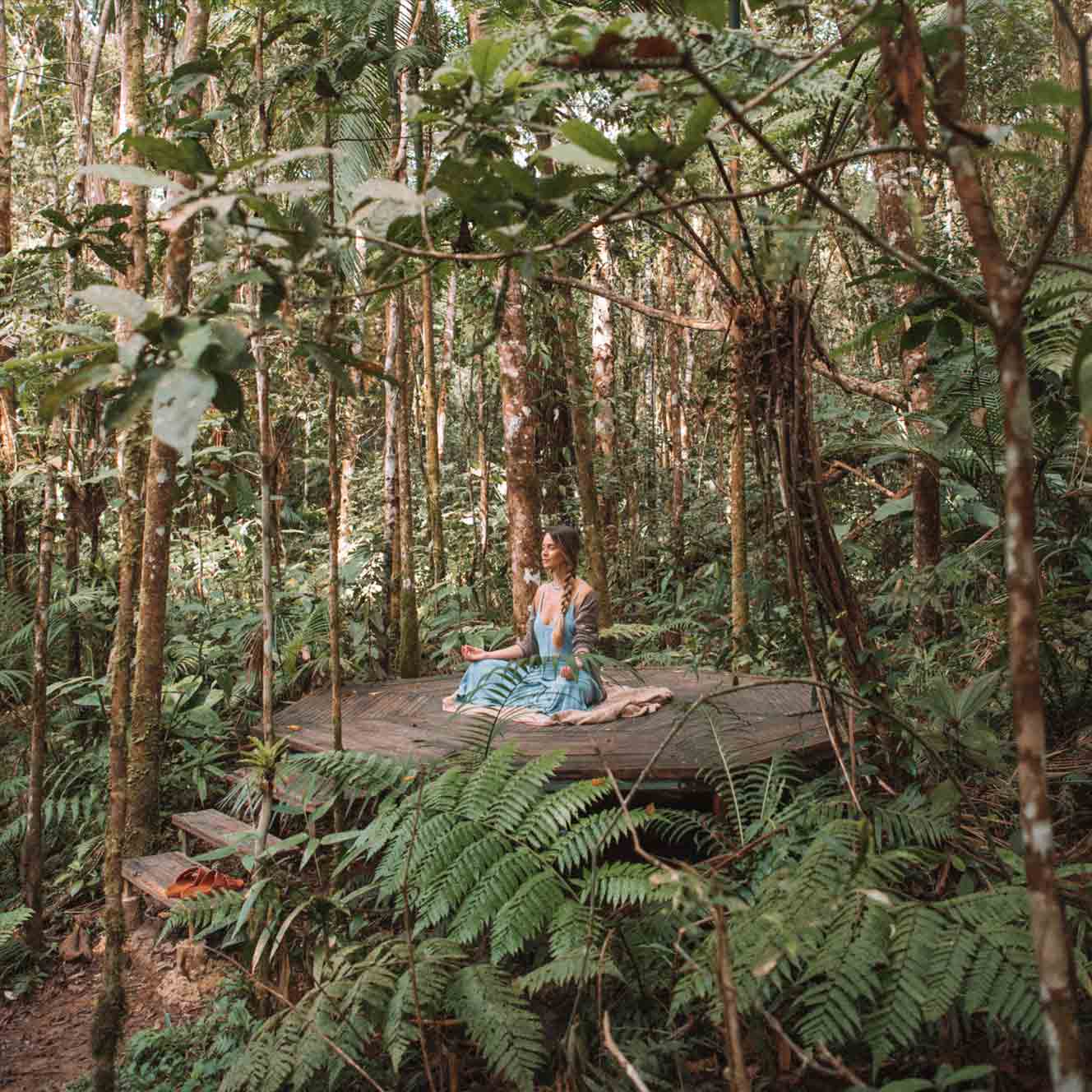 deck meditação mata atlântica salve floresta
