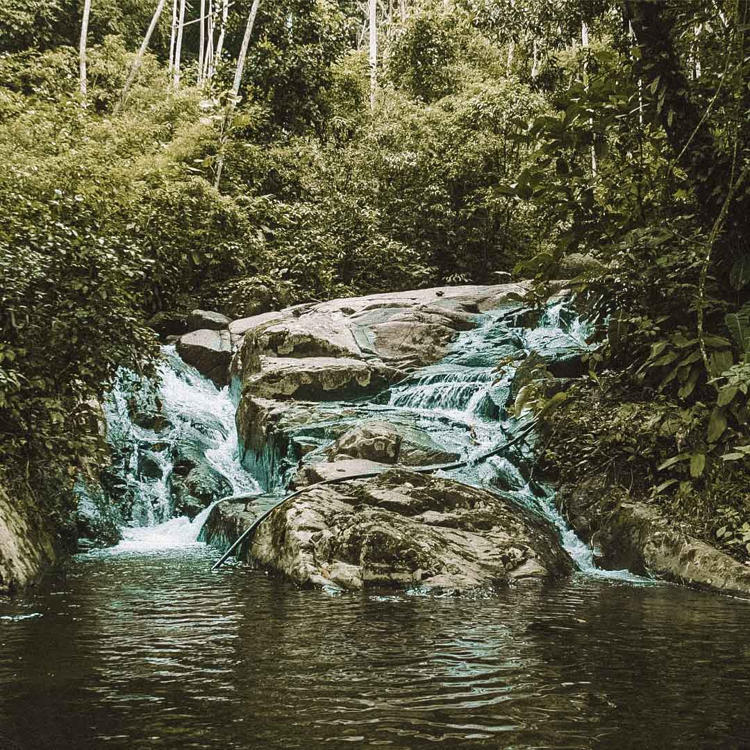 cachoeira parque estadual rj 