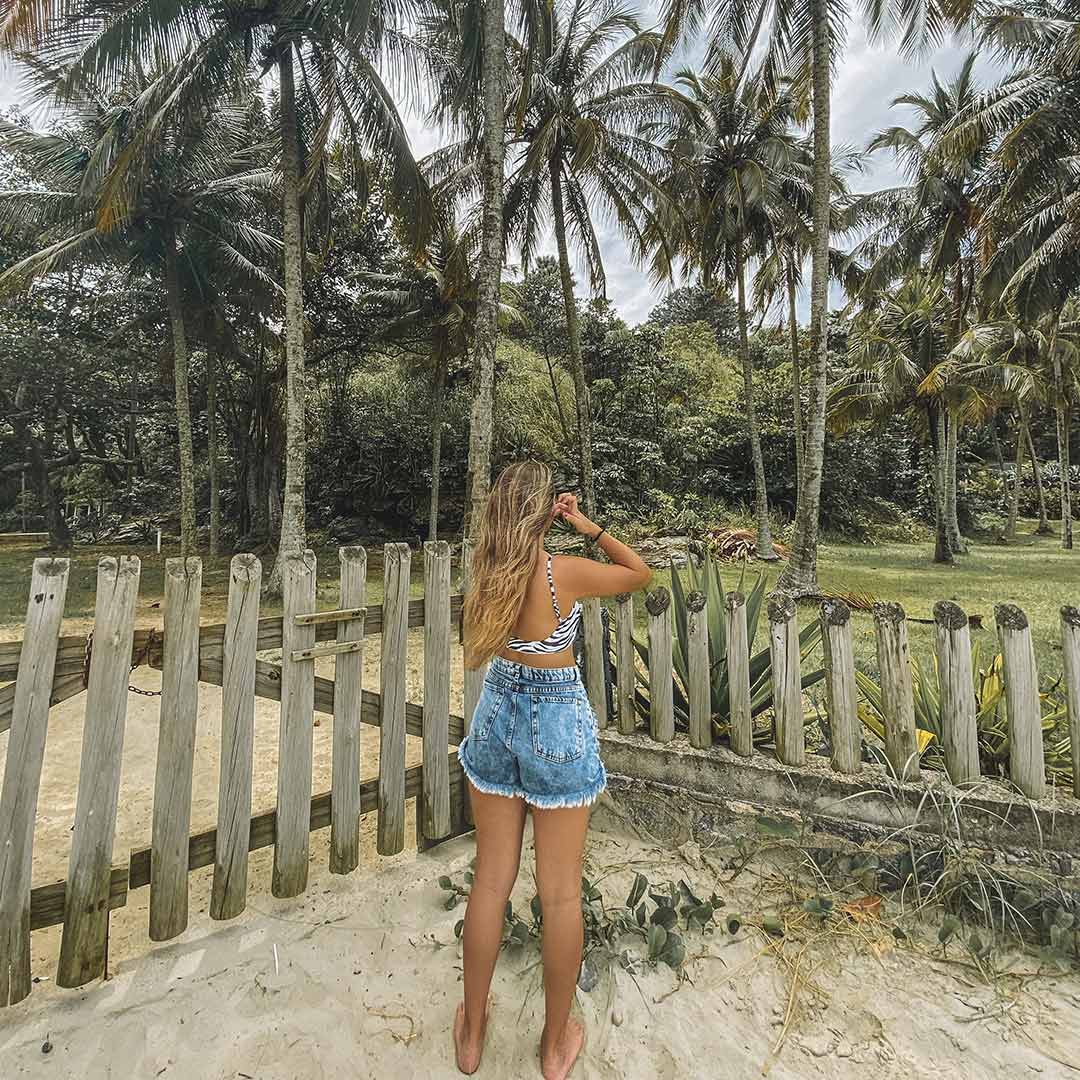 praia barequecaba palmeiras