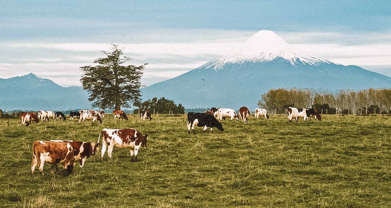 Osorno no chile