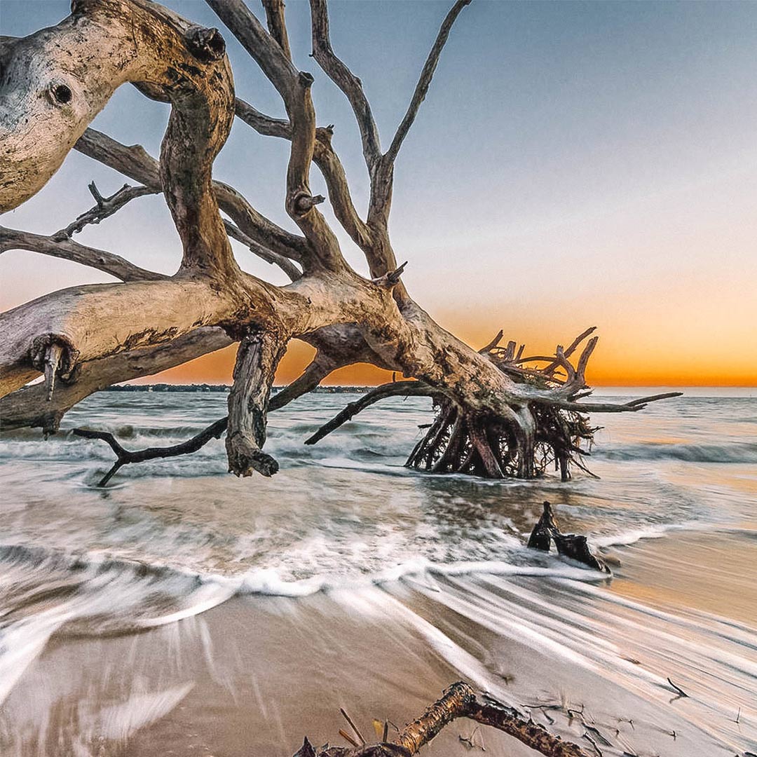 Driftwood Beach