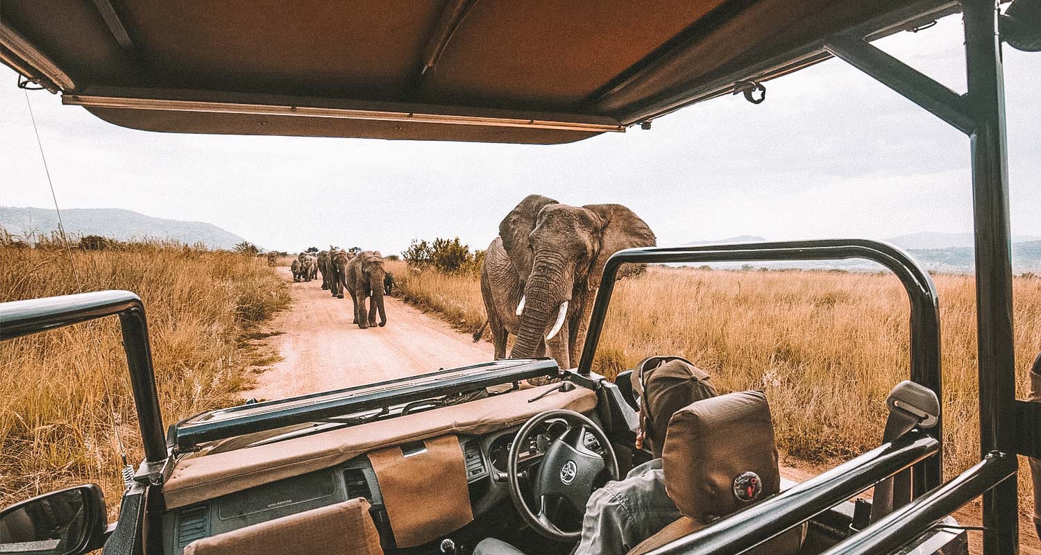 carro safari