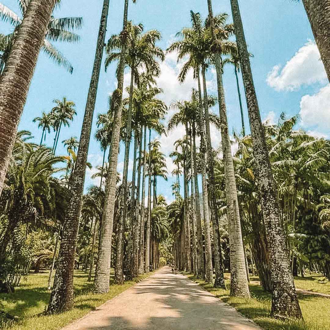 jardim botanico rj