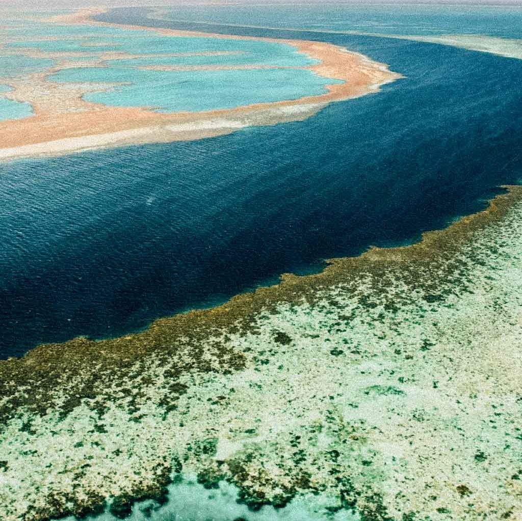 barreira-de-corais