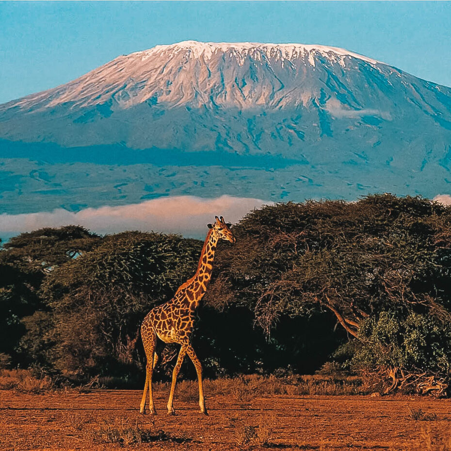 Neve na África: onde encontrar e quando acontece? - Carpe Mundi