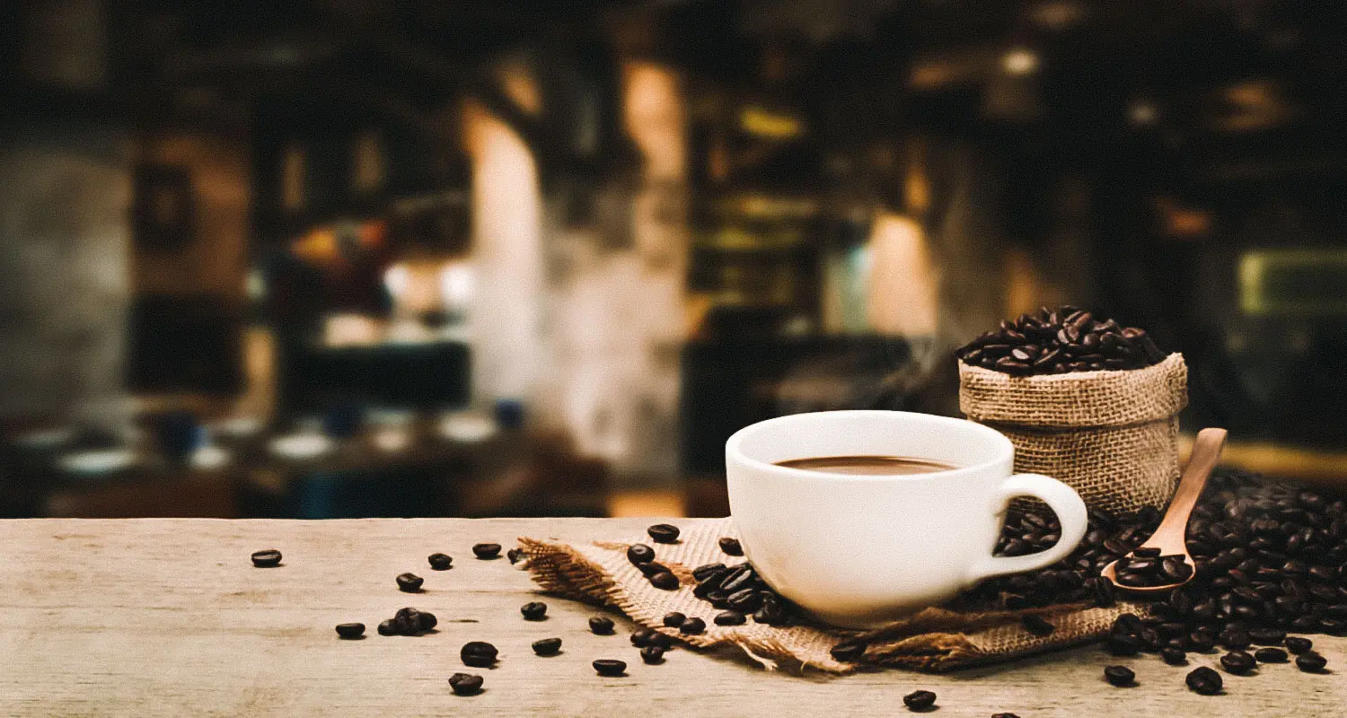 Café mais caro do mundo: tudo sobre o Kopi Luwak - Carpe Mundi
