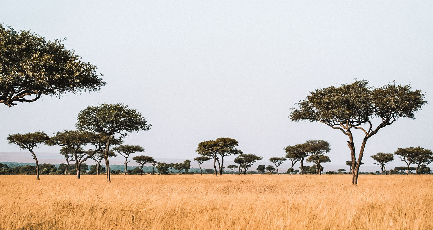 países na África que falam português
