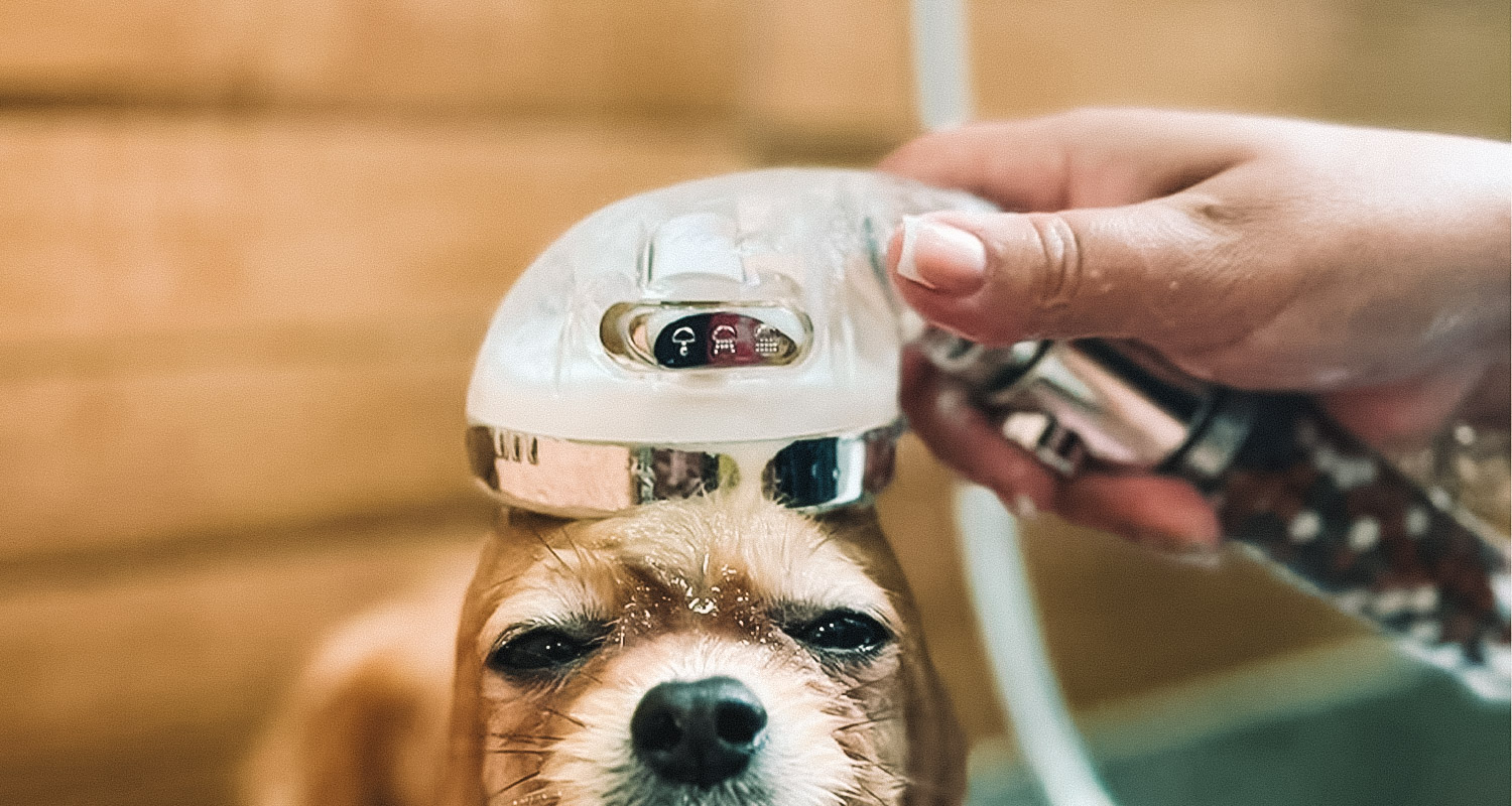 pure shower pet